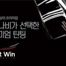 틴팅 이미지