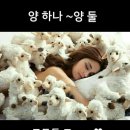 코잠 - 수원시 권선구 금호로 237 | 코잠