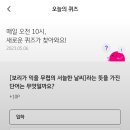 보리수하 이미지