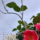 동로현복지센터 이미지