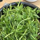 등촌샤브칼국수(망우점) | 망우동맛집 등촌샤브칼국수 망우점 내돈내산 재방문