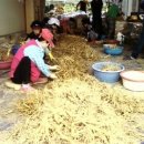 고려홍삼천국 - 파주시 | 고려홍삼천국