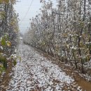 옥이네농장 이미지