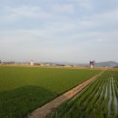 합덕역세권공인중개사사무소 이미지