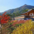 산청 동의보감촌 이미지