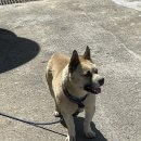 부촌목장 이미지