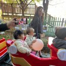 서울상지초등학교 | 제 12회 마포 유아 숲 축제 방문기(SK스토아 어린이집)