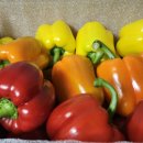 장파농장 이미지