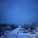 도시고양이생존연구소 이미지