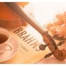 멘델스존 바이올린 협주곡 E단조 (바이올린 전공자에게 필요한 몇가지 TIP) 이미지