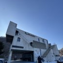 강물소리펜션 | 흑백요리사 제작진도 선택한(?) 홍천 애견동반 펜션 “리버트리펜션“ 재방문 후기