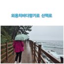 향기로 | [속초] 외옹치바다향기로 후기