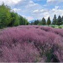 낙동강관리본부 화명생태공원 3 이미지