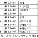 세포버거 이미지