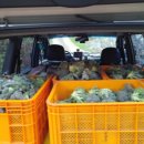 태용목장 이미지