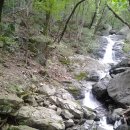 다금식당 이미지