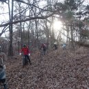 고촌농로 이미지