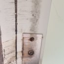 향기보듬이나눔이 어린이집 이미지