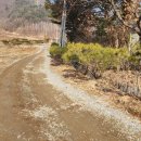 화계초 성동분교장 이미지