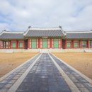 수원-1911 티스토리