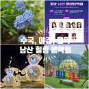 화순 남산공원 로컬힙 프로젝트 | 전남 화순가볼만한곳 남산 힐링음악회 수국과 함께 여름 여행