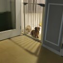 더도그맨션 이미지