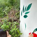 철효 이미지
