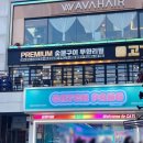 캐치팡프리미엄 네이버블로그