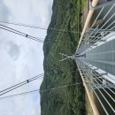 영천 보현산 댐 출렁다리 2026. 6. 4. 이미지