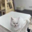 베키보육원 이미지