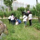 시곡중학교 무궁화동산 봉사활동(6. 20) 이미지