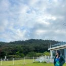 경주 애견 풀빌라 위클라드! 완벽했던 치즈와의 힐링여행!
