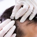 비엔엘에스테틱아카데미 이미지