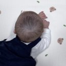 삼환약국 | 두상 교정 하니 헬멧 후기 추천인코드 한헬스케어 판교