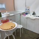 달고나 펫살롱 이미지