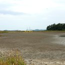 금호교차로~산이교 이미지