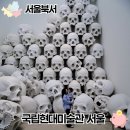 서울 전시 추천 국립현대미술관 서울 론뮤익 후기 주차 할인