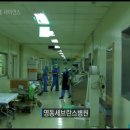 연세대학교의과대학 강남세브란스병원 이미지