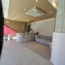 프라이빗핑크트리 이미지