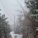 삼보쉼터 이미지