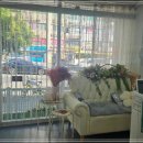 멍멍 스타일 이미지