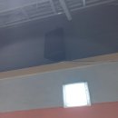 스타짐(STAR GYM) 이미지