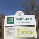 조이한우목장 | 춘천 아이와 가볼만한곳 해피초원목장 동물 먹이 체험 나들이