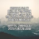 경희대효태권도1