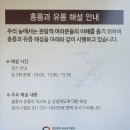 남양주 데이트코스 벚꽃 장소 홍유릉 사진찍기좋은 곳 다녀왔어요