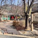 민들레유치원 | [충주 맛집] 충주호 ‘민들레’｜20년 찐단골이 애정하는 돈까스·커피 맛집 후기