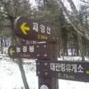 오목길 Daum카페