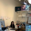 알로하프룻 이미지