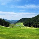 모나크cc 이미지