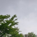 괴안체육공원 이미지